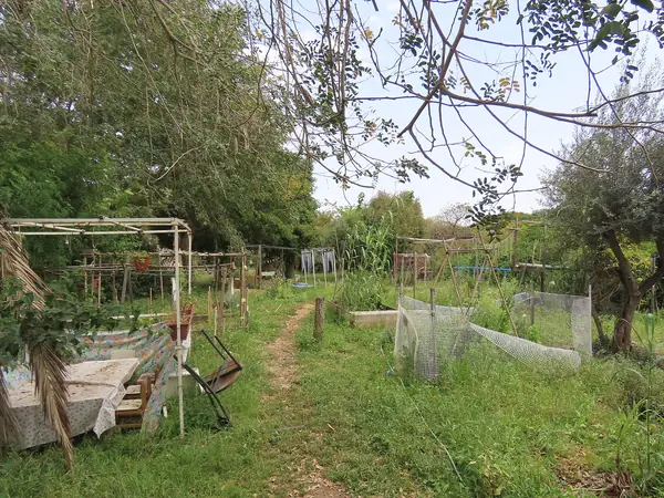 Planted vegetable plots and a footpath at the community garden in the Bavli neighbourhood