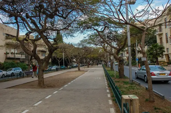 Leafy central bike lane and benches along Rothschild Boulevard in the City Center of Tel Aviv
