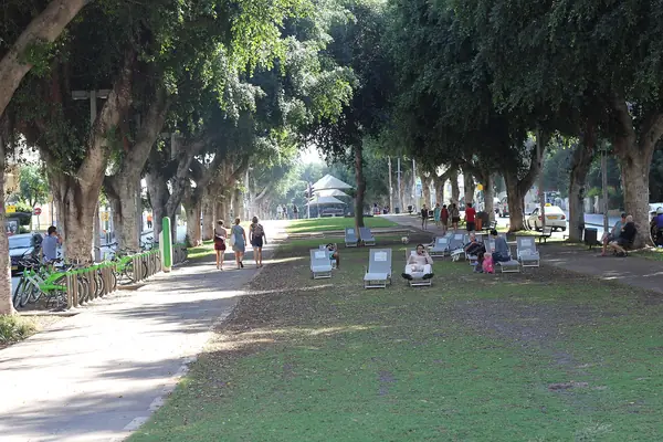 People relaxing on the grassy median of Rothschild Boulevard in central Tel Aviv