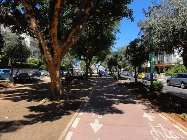 Tree-canopied central promenade and cycle lane on Ben Gurion Boulevard, Old North Tel Aviv