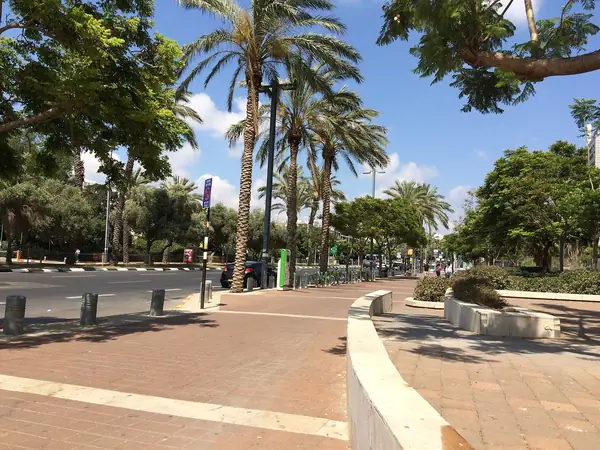 Wide palm-lined Einstein Street with a bike-share stand in Ramat Aviv, Tel Aviv